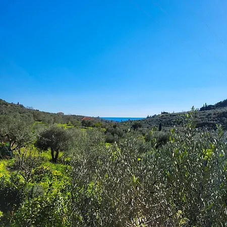 Kamares Valley Farm Amidst Olive Groves