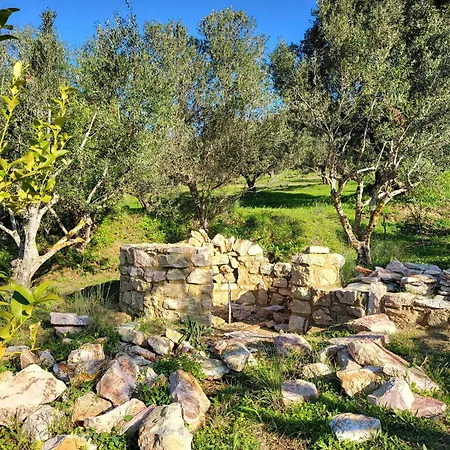 Kamares Valley Farm Amidst Olive Groves * Koroni (Messinia)
