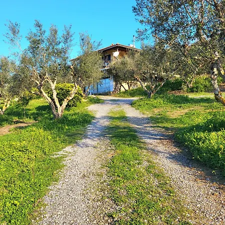Apartamento Kamares Valley Farm Amidst Olive Groves